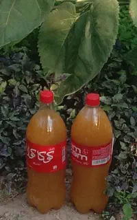 آبغوره تازه و بی نمک