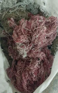کاموا شکافته و نشکافته بالش