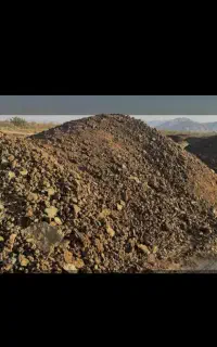 کود گاوی