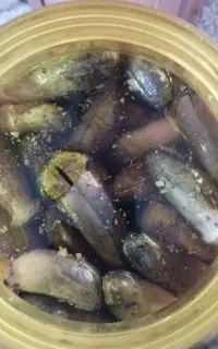 ترشی بادمجون و فلفل