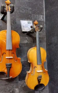 ویولن تی اف tf142استیودنت)/