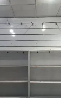 رگال با قفسه