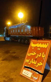 سیب پادرختی
