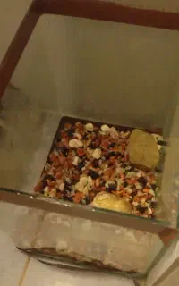 پمپ و تصفیه آب شیشه