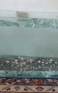 آکواریوم  قیمت ۸۰۰تومن