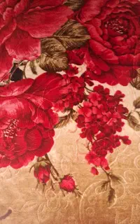 پتو دونفره شادیلون