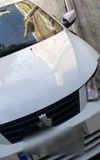 ساینا مدل ۹۷ پلمپ