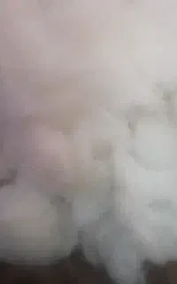 پنبه لایکوپشم شیشه حراج