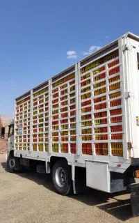 دانگ فنگ R270 مرغی،البرزتک باری