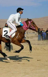 فروش مادیان