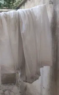 پرده تور