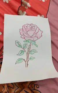 استخدام کار