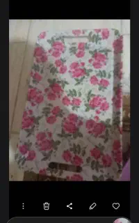 ۲عددسینی‌بزرگ‌وسالم