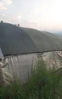 سازه گلخانه به مساحت ۲۵۰ متر مربع