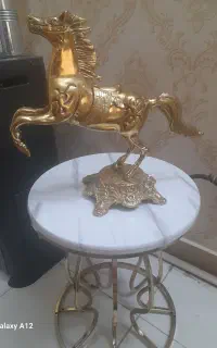 اسب سطل آشغالی