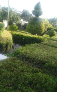 خدمات باغبانی و طراحی فضای سبز