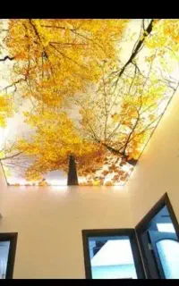 پیمانکاری صفرتا صد ساختمان بازسازی نوسازی