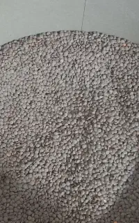 عدس آشی و لوبیا قرمز زنجان