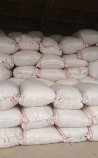 کاه گندم ریز کوب سفید