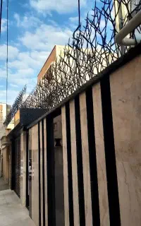 حفاظ دیوار نرده شاخ گوزنی دزدگیر