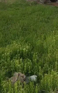 کارگرسرچاه هستم و دنبال دائم