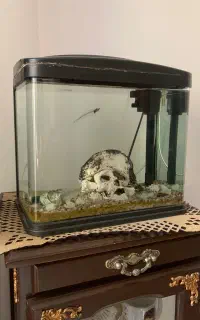 فروش اکواریوم