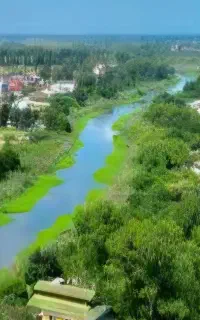 مهندس  کشاورزی اب باسابقه بیمه