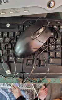 موس a۴ خرکار