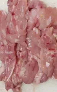 بچه فیله و خرده گوشت مرغ