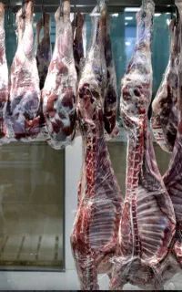 گوشت بره نرینه پرواری