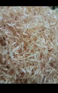 پوشال و خاک اره