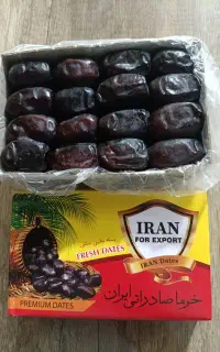 خرما صادراتی بسیار درشت و تازه تازه صادراتی هست