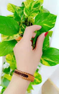 دستبند گیسوی یار