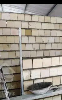 بنا همه کاره