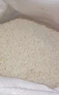 برنج کشت پاکستانی