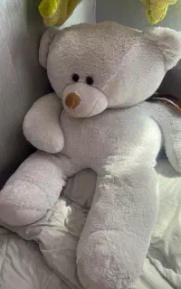 خرس وقورباغه
