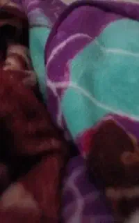 دوتا کیف مدرسه ای و مقداری لباس دست دوم در حد نو