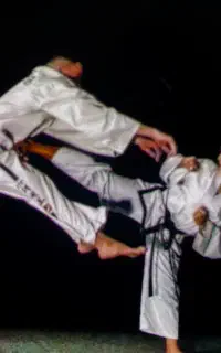 آموزش فنون رزمی ویژه بانوان