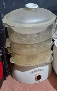 سرخکن و بخار پز