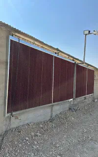 پدسلولزی کولانسل