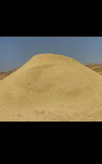 کاه گندم
