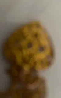 طلا