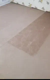 موکت دو دست برای اتاق ۱۴ متری