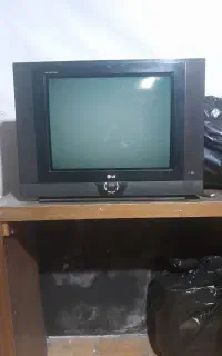 تلویزیون