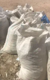کود کبوتر