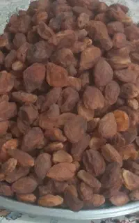 کیشته زردالو