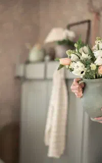 ادمین اینستاگرام