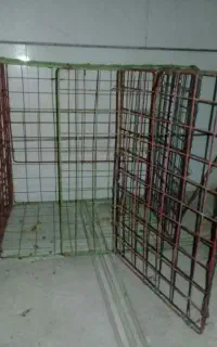 قفس