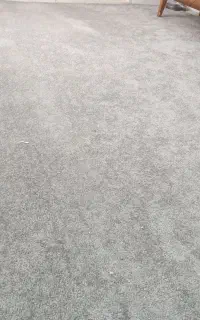 پالاز موکت