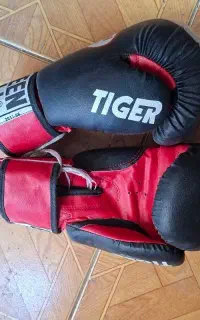 دستکش بوکس وتکواندو